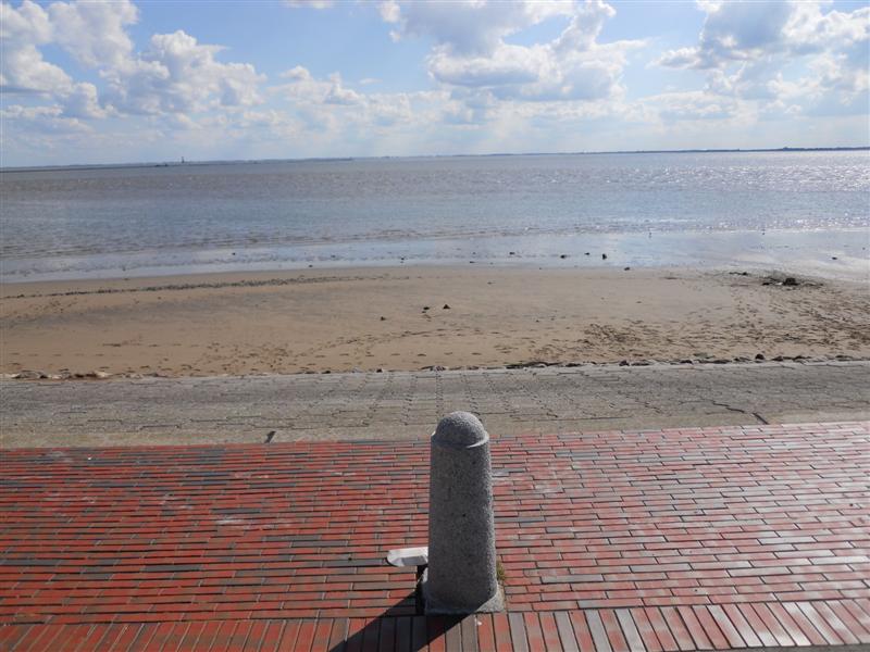 DSCN1092 (Medium).jpg